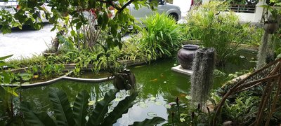 Landscaped Gardens